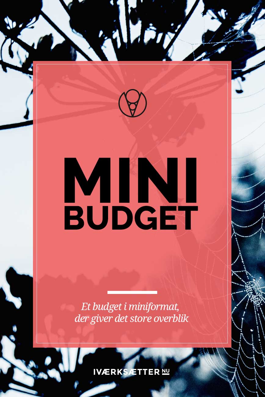 Mini budget