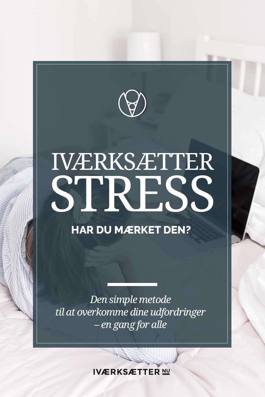 ivaerksaetter-stress ivaerksaetter-stress