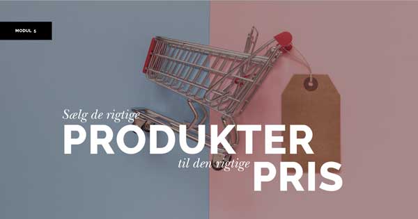 ivaerksaetteri-i-praksis-produkt-pris ivaerksaetteri-i-praksis-produkt-pris
