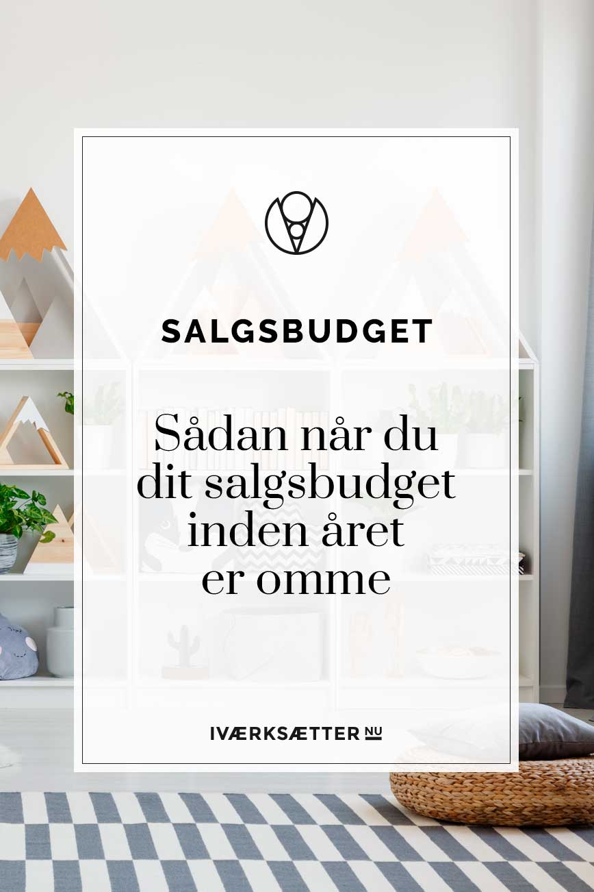 salgsbudget-naa